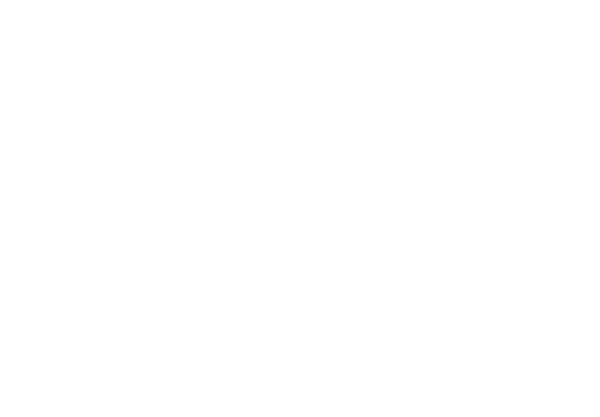 audi (2)